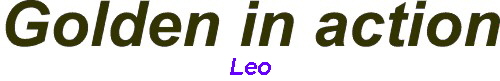 Leo